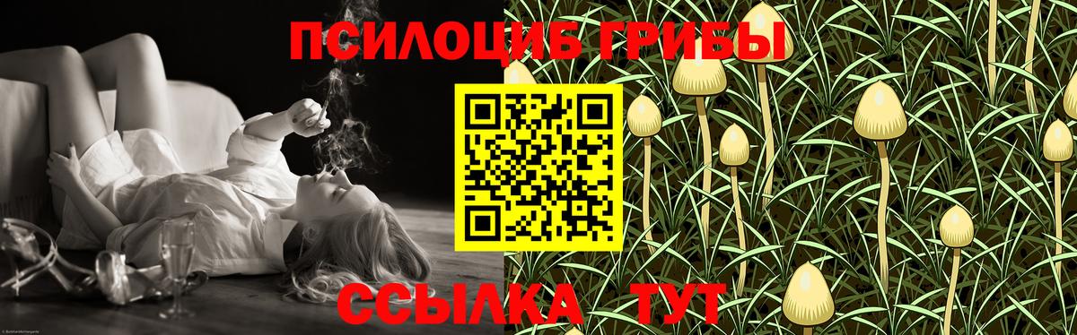 Новый Уренгой  Псилоцибиновые грибы ЛСД  Вход с VPN  Псилоцибиновые грибы Psilocybine cubensis 