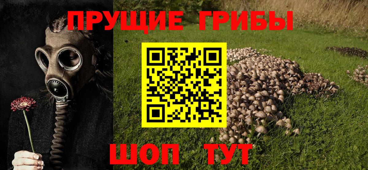 Галлюциногенные грибы GOLDEN TEACHER Новый Уренгой
